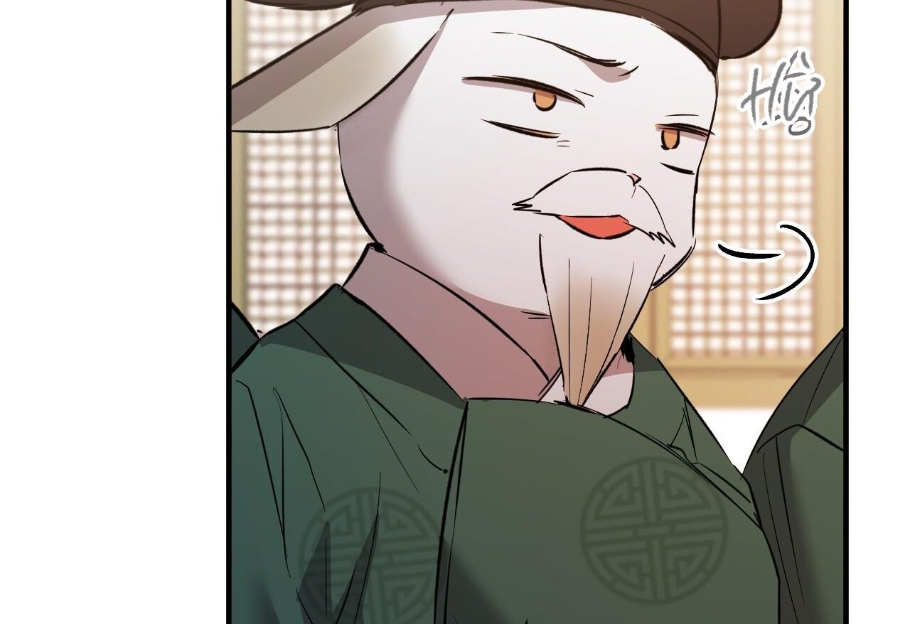 những chú thỏ của hapypy chapter 62 154