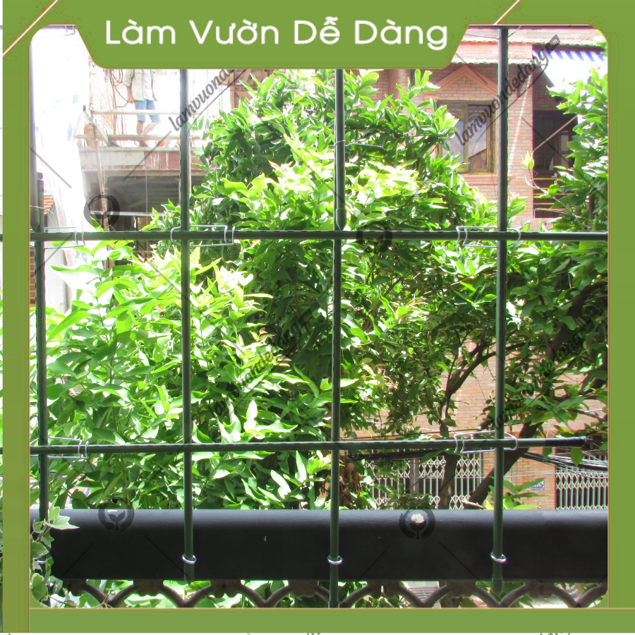 DÂY RÚT NHỰA DẺO - Dụng cụ hỗ trợ làm vườn - Dùng để cố định các khớp nối giàn leo