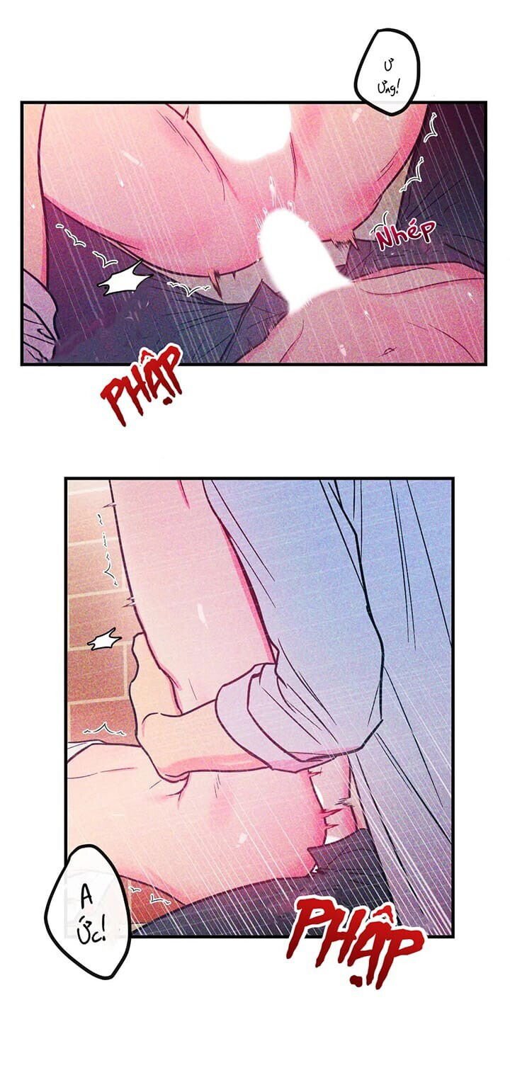 tình yêu ngây dại chapter 2 19