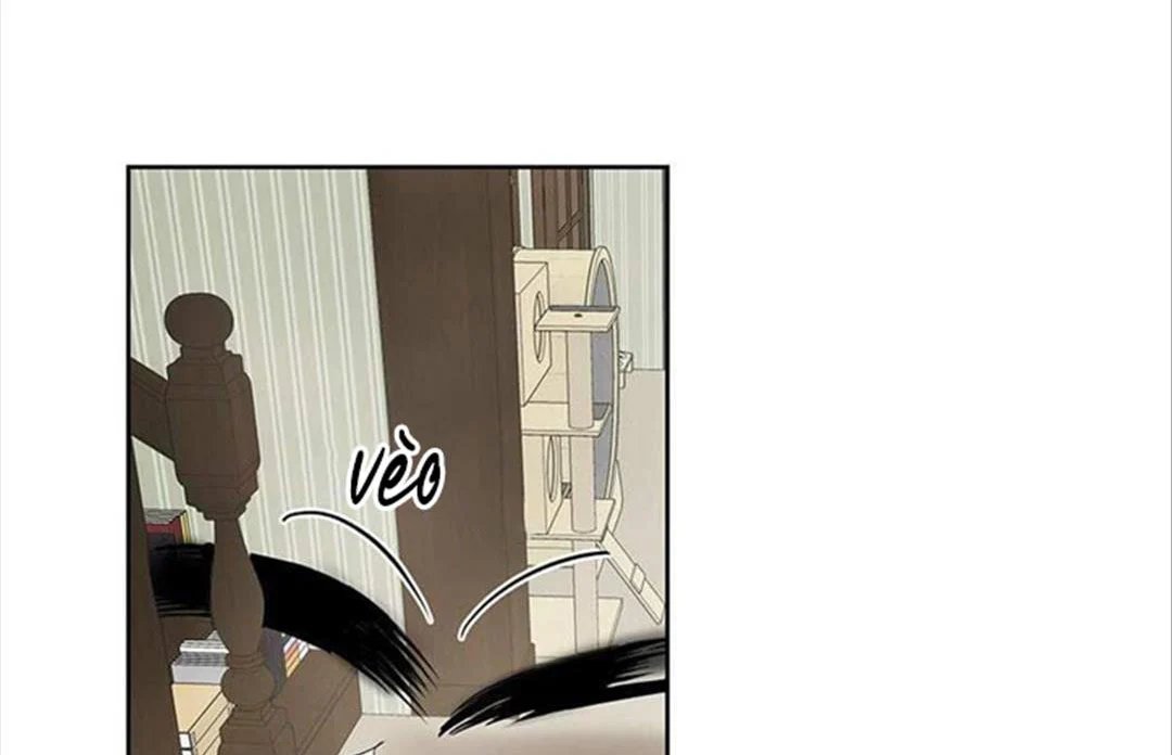 chuyện quái gì với giấc mơ đó vậy chapter 33 27