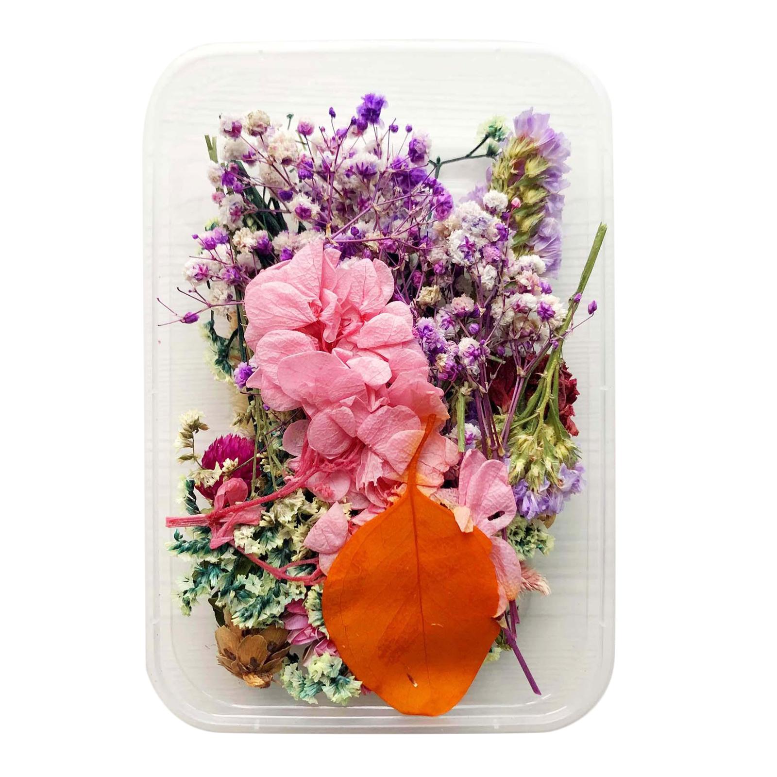 1Box Mix Natural Real Pressed Dried Flowers Petals Leaves Crafts Card Making