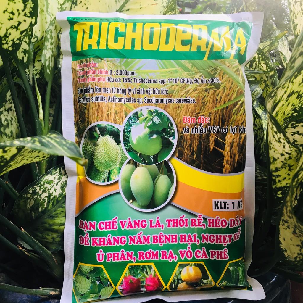 Gói 1kg Chế Phẩm Sinh Học Nấm Trichoderma đối kháng bệnh - Ủ phân vi sinh, phòng bệnh trị nấm cho cây trồng