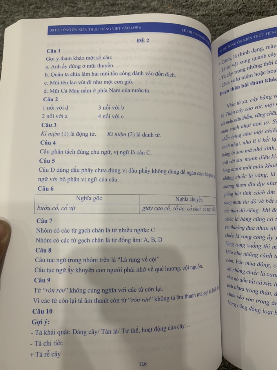 30 Đề tổng ôn kiến thức Tiếng Việt vào Lớp 6