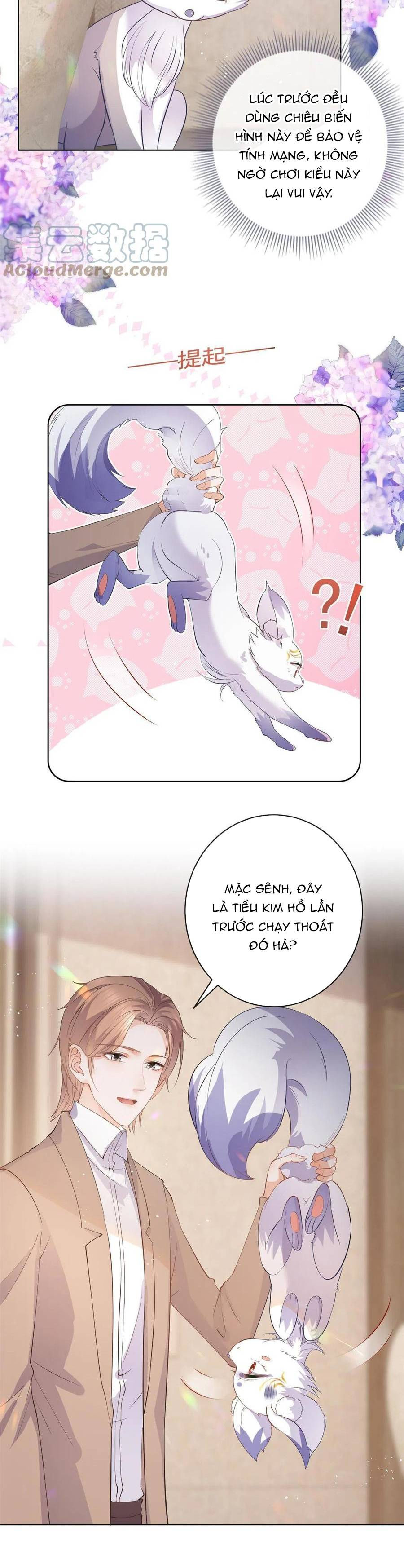 sát thủ đại nhân tại tuyến dưỡng hồ chapter 69 7