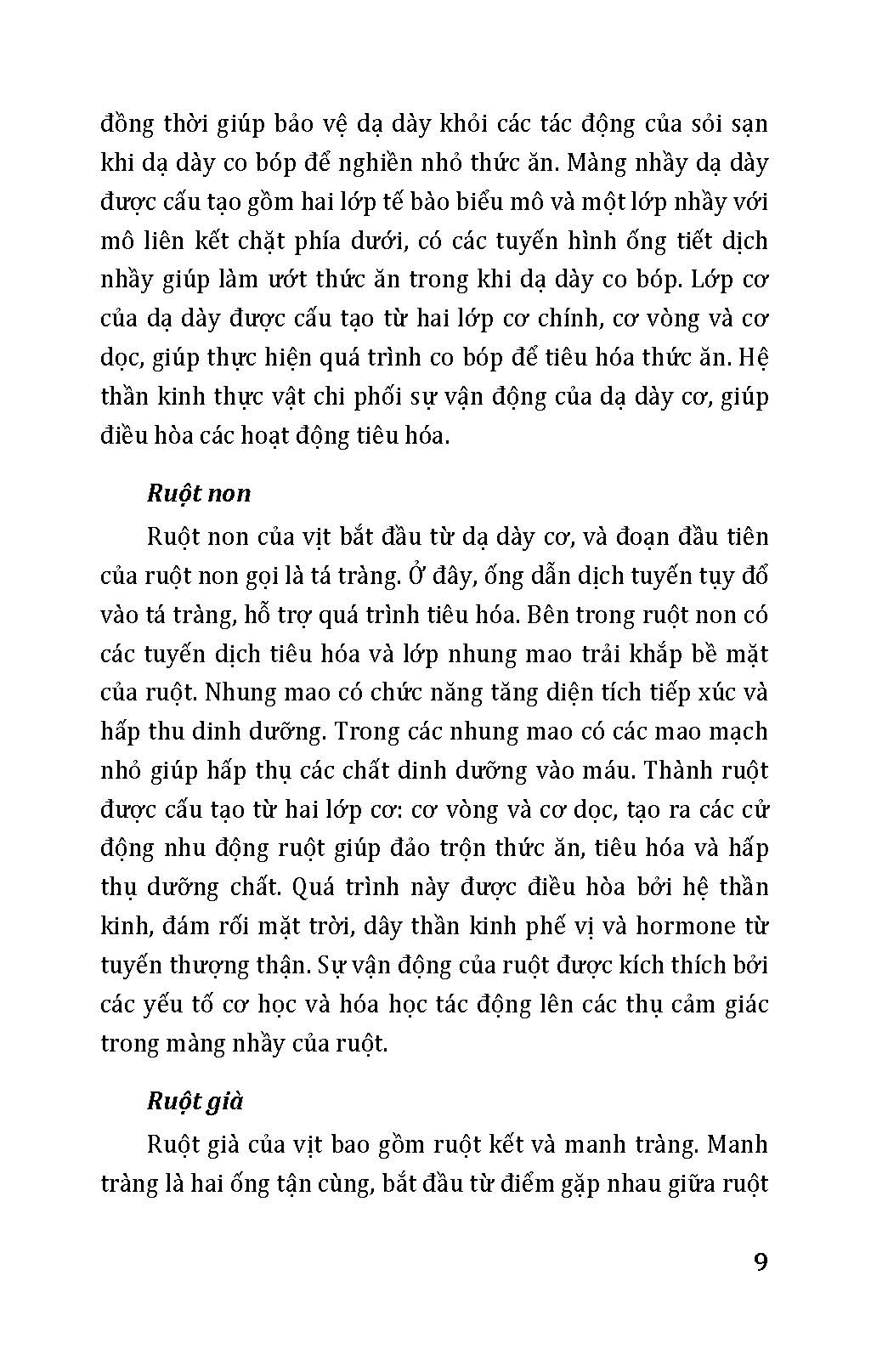 Nông Nghiệp Xanh Và Sạch - Nuôi Vịt Sạch