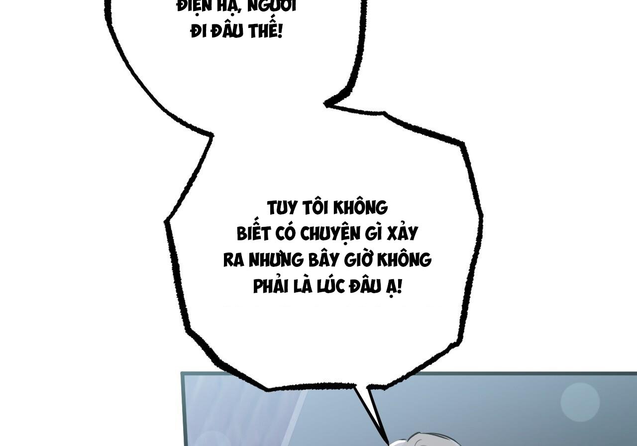 những chú thỏ của hapypy chapter 60 73