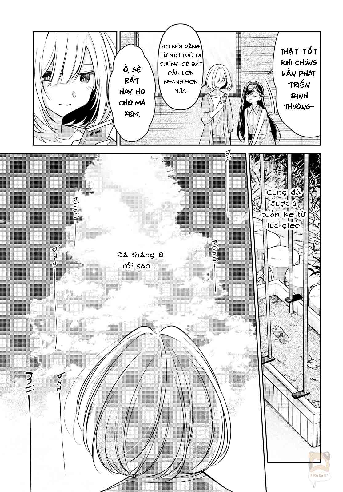 mùa hè có cậu ở đó chapter 11 3