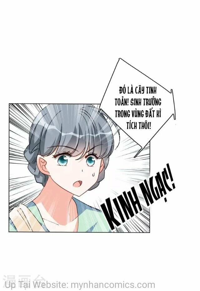 cô ấy đến rồi, xin nằm xuống! chapter 135 4