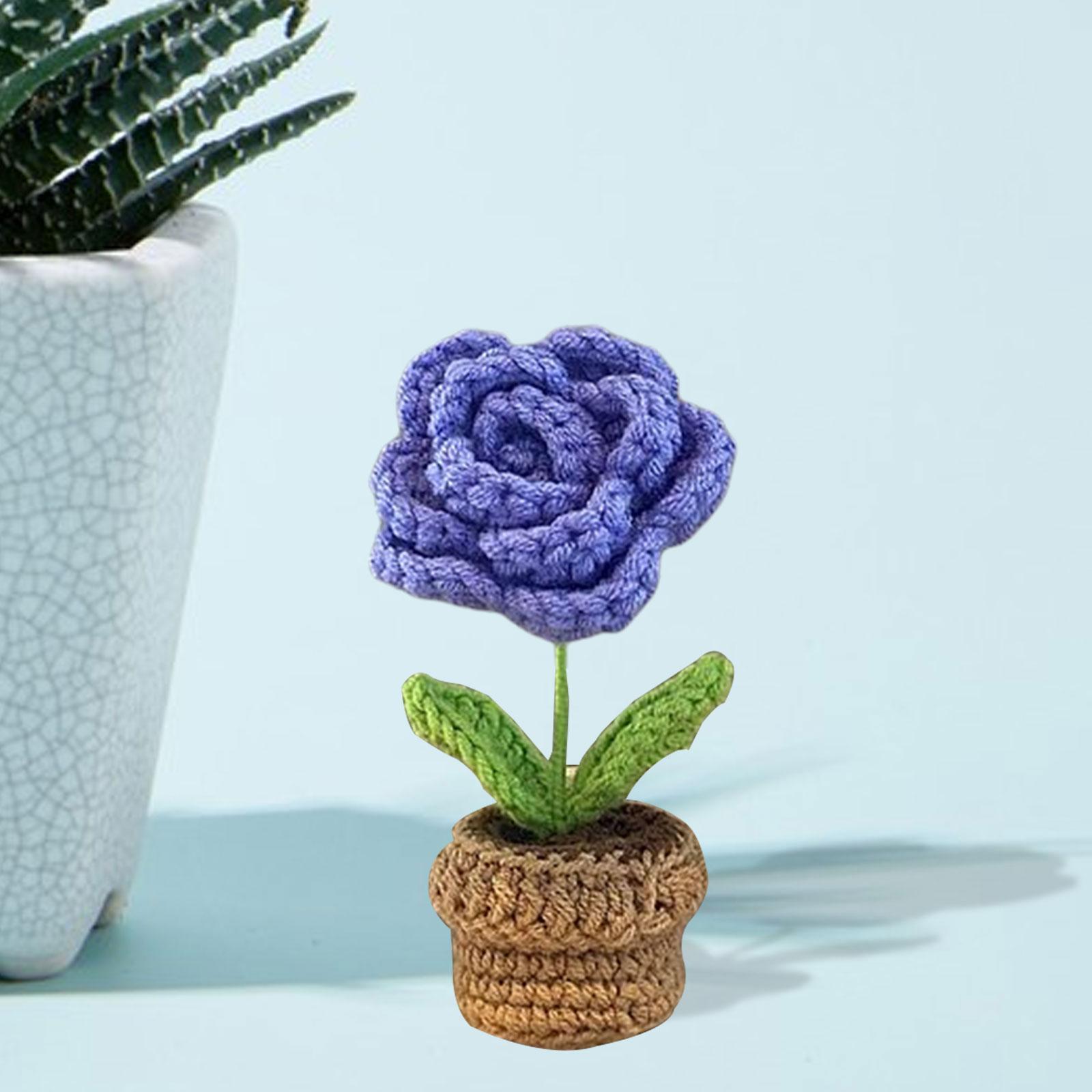 2pcs Handmade DIY Beginner Crochet Kit for Adults and Kids