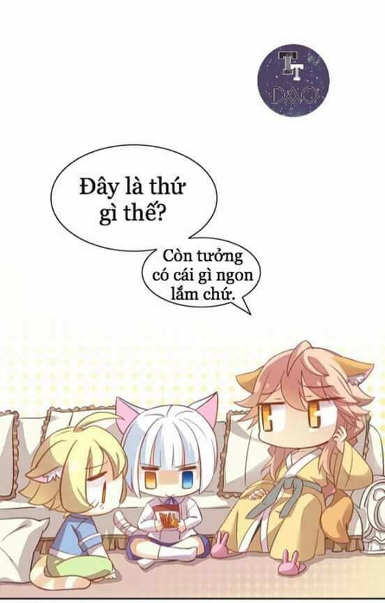 dưới móng vuốt mèo chapter 6 11