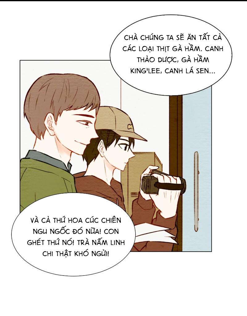 sao chép chapter 16 5
