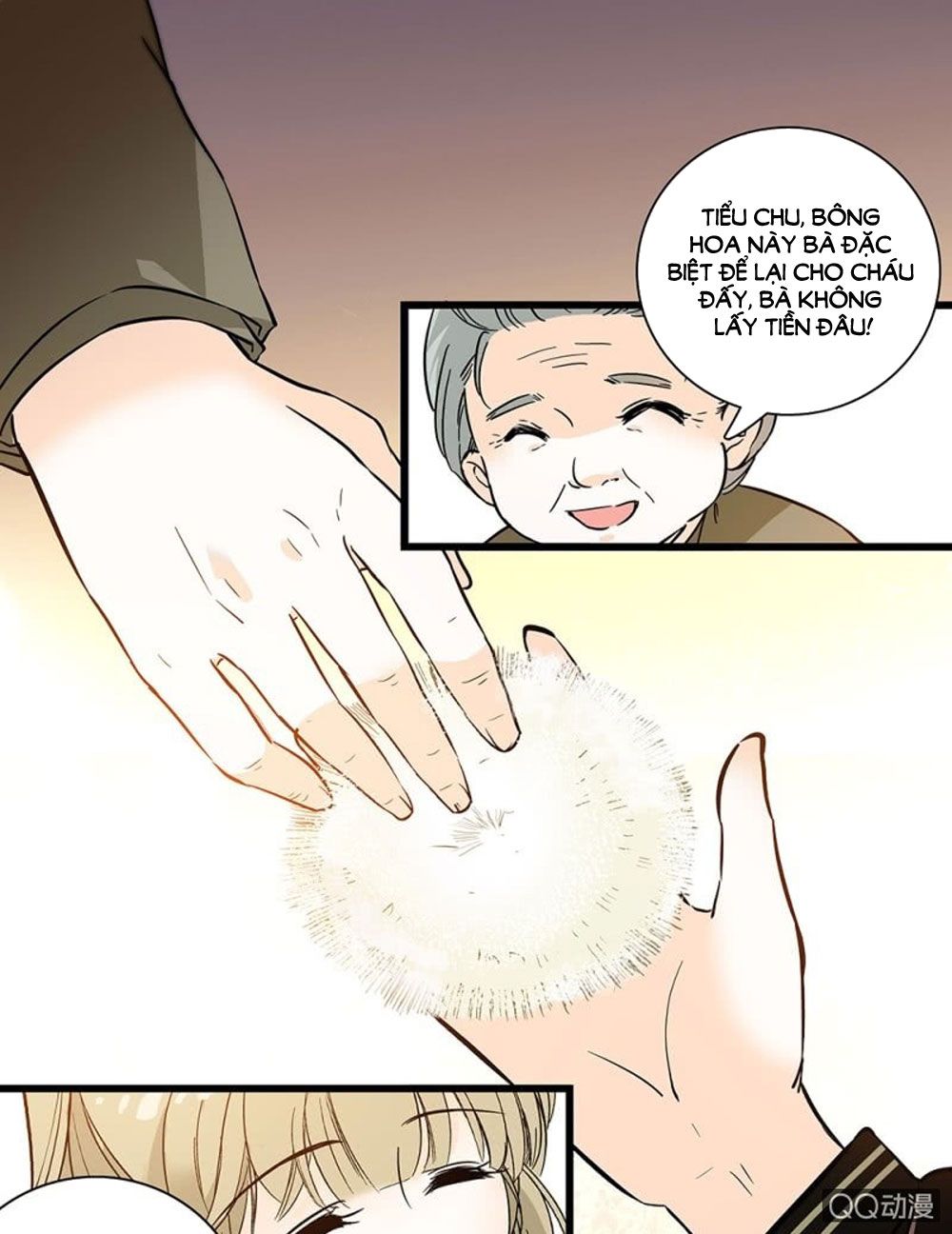 tịch nhan hoa nở chỉ vì em chapter 41 11