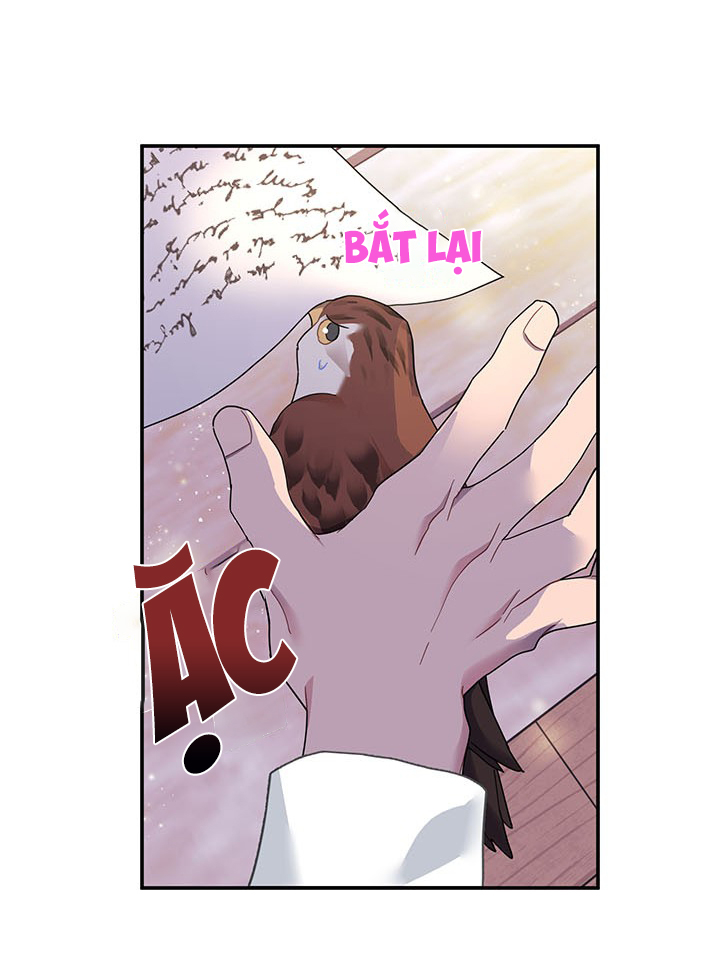 công chúa của loài chim chapter 16 60