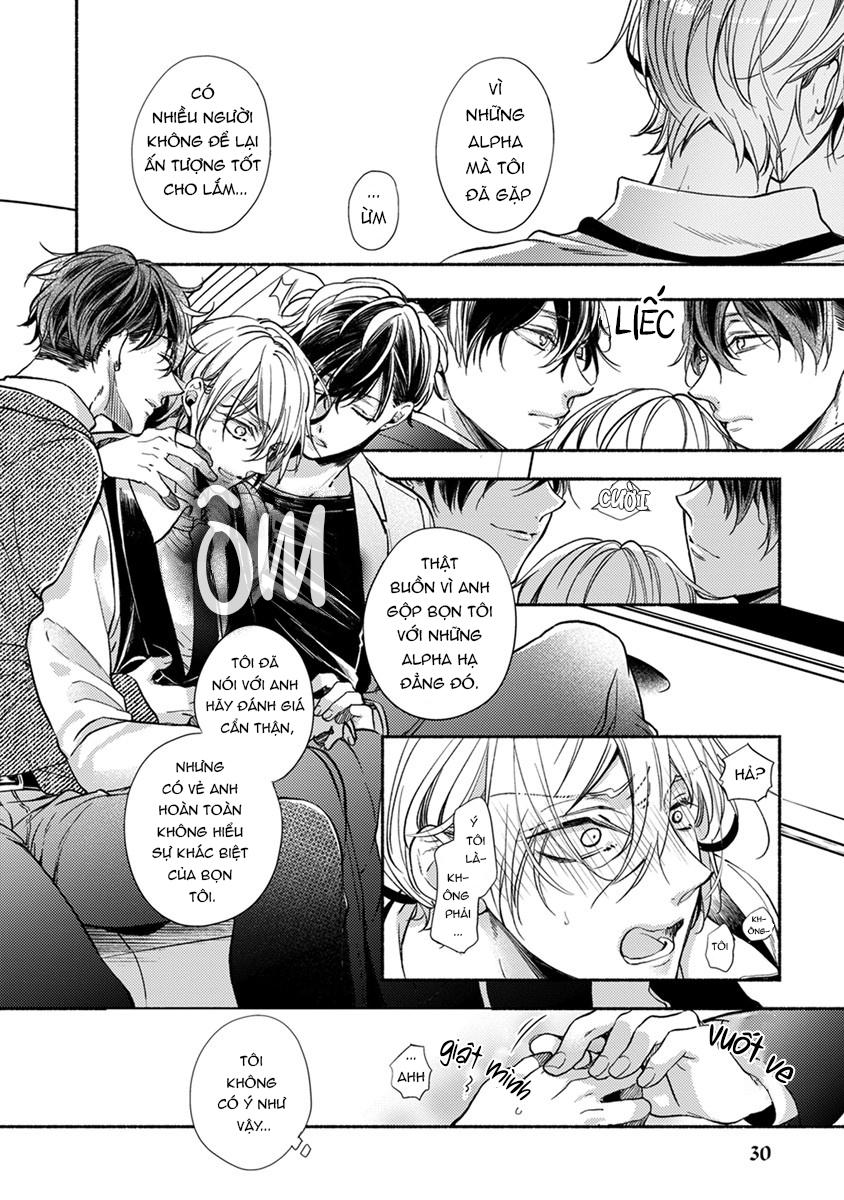 omega giả vờ kiên cường đó là bạn tình của tôi chapter 1 28