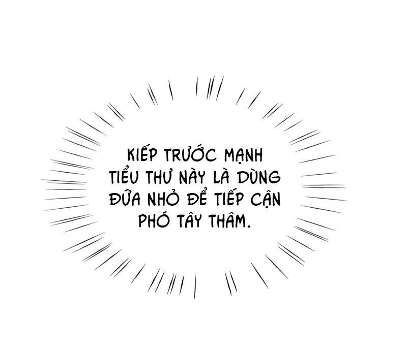 cẩm tú trùng sinh: chào buổi sáng phó thái thái chapter 20 12