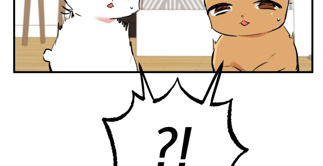 đàn thỏ của habibi chapter 36 73