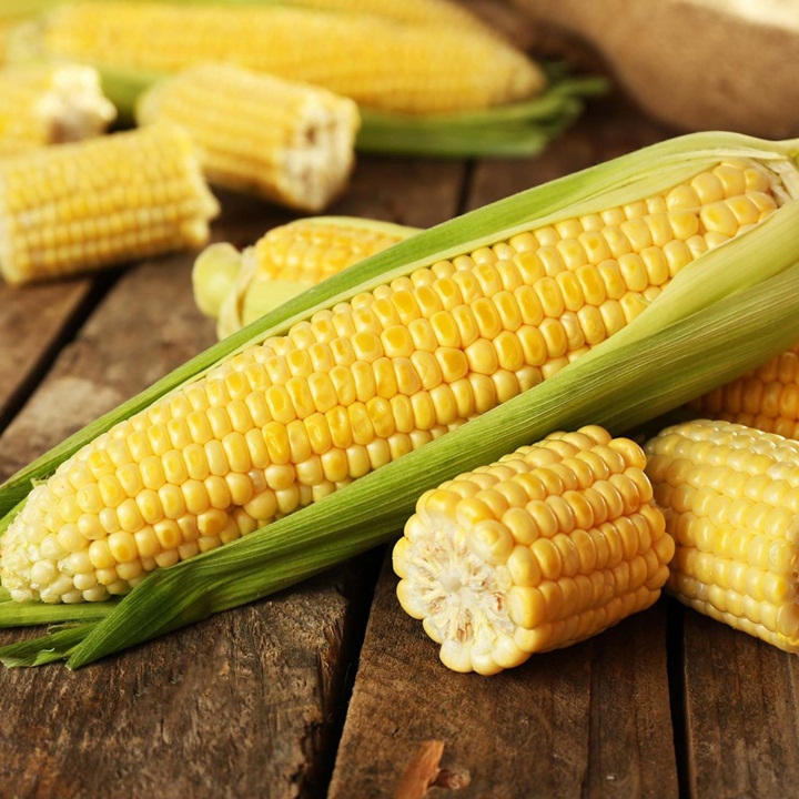 Hạt giống Bắp ngọt gói 100gram