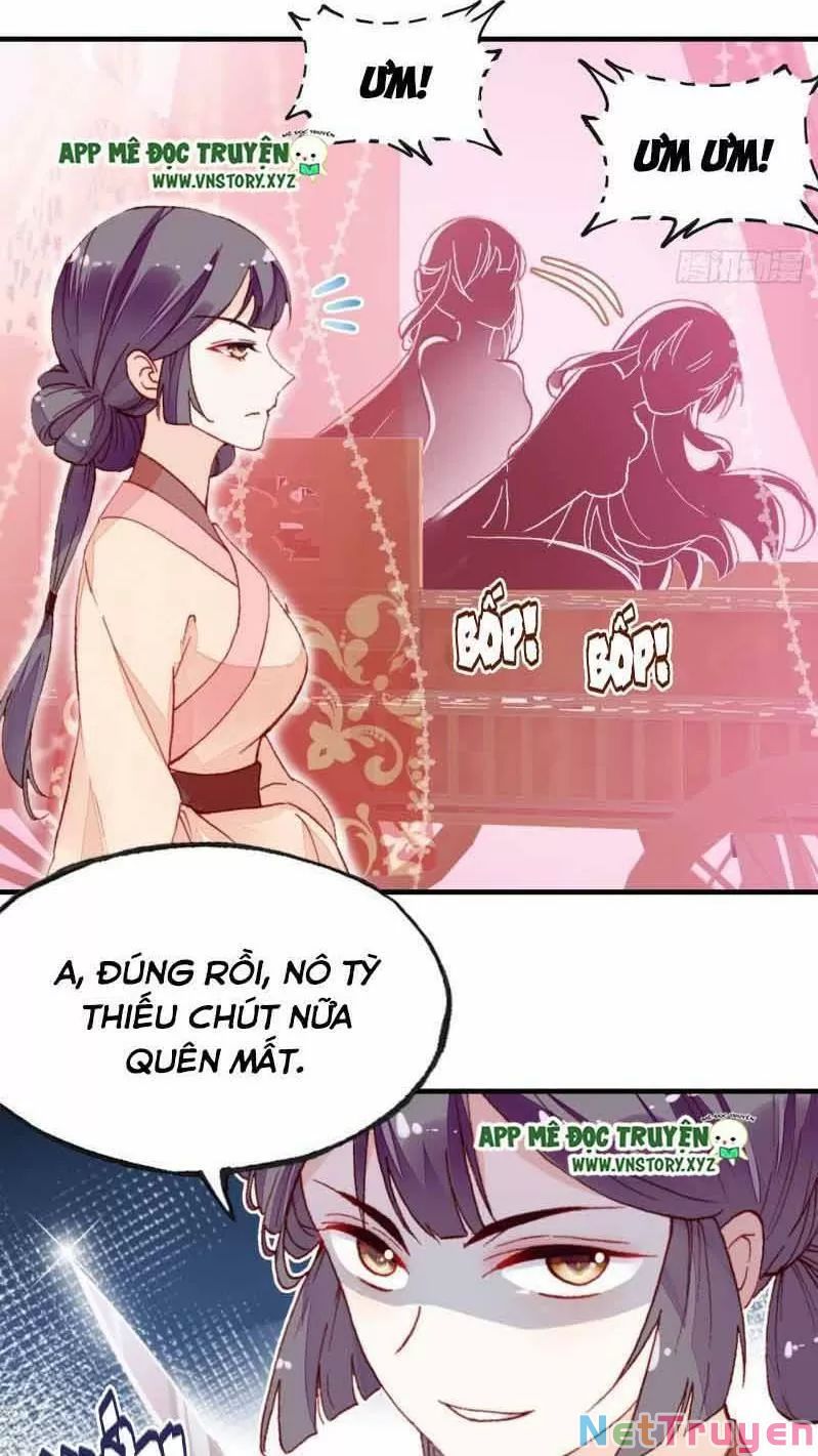 lại bị bệnh chiều chuộng quấn lấy chapter 1 5