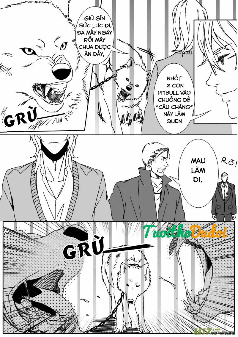sự mê hoặc của sói chapter 37 9