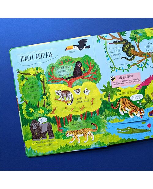 Laege Question and Answer Flap Book - Animals by  Rachel Moss