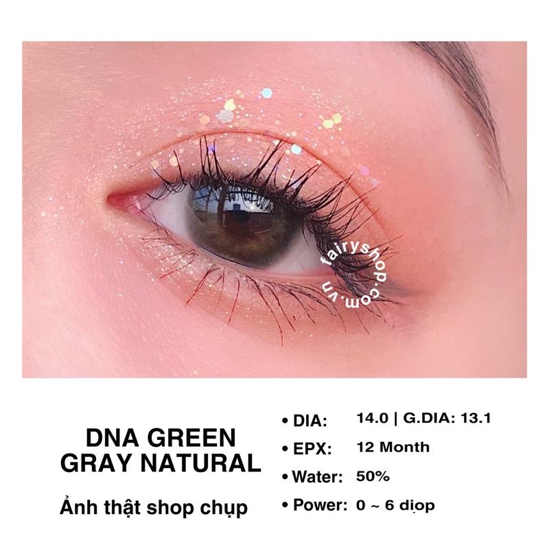 DNA TAYLOR GREEN GRAY Natural 14.0mm - Kính Áp Tròng FAIRY SHOP CONTACT LENS Độ 0 đến 6