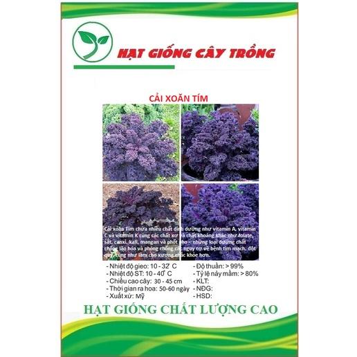 Hạt giống rau cải xoăn tím CT345 - Gói 20 hạt