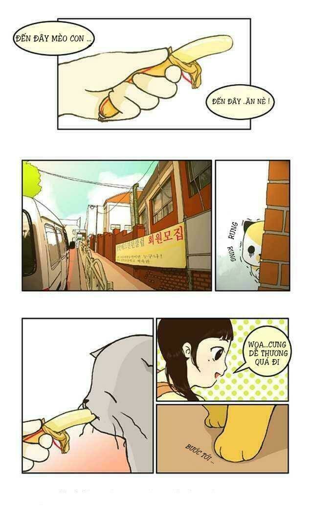 papi nyang chapter 2 2