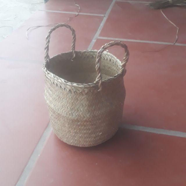 Chậu cói cỡ nhỏ size 20 cm