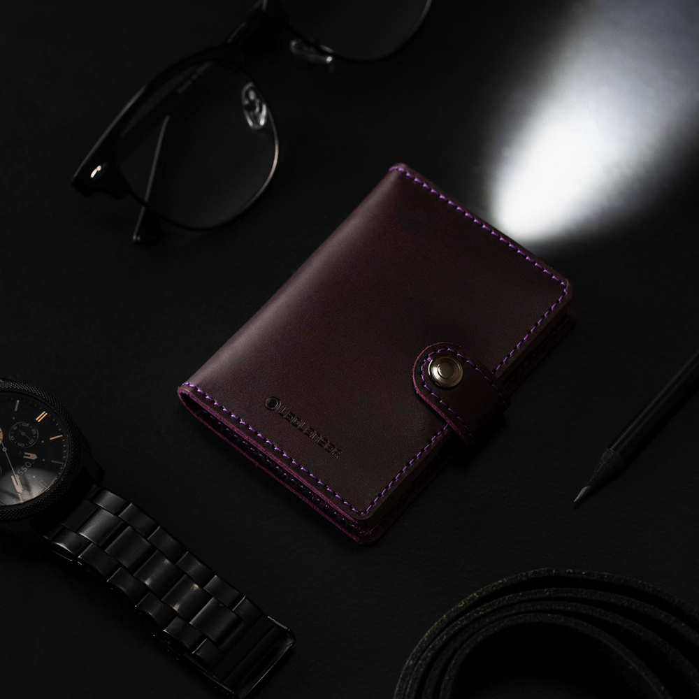 Ví kiêm đèn pin Ledlenser Lite Wallet