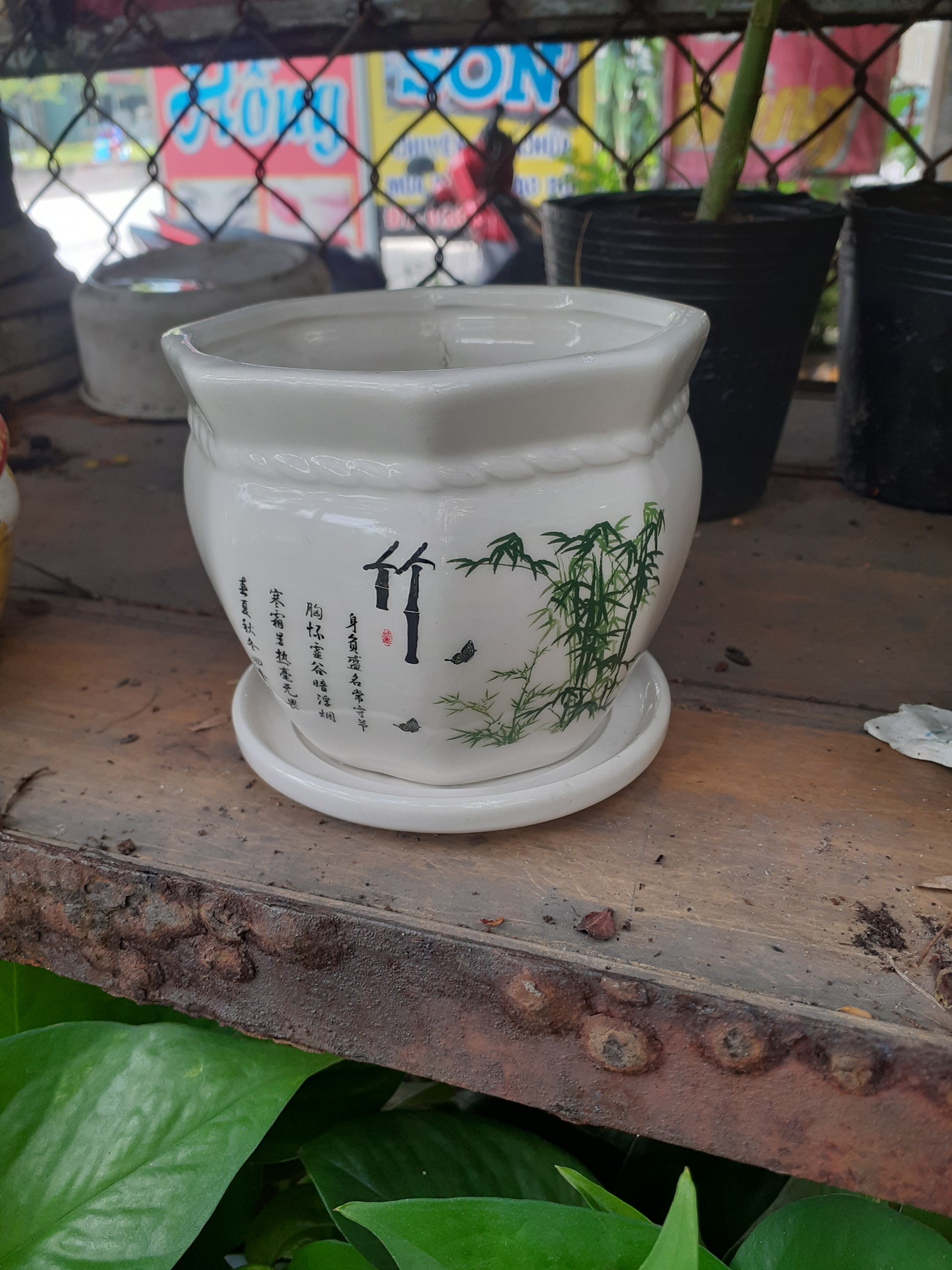 Chậu sứ kèm dĩa thơ thuỷ trúc bát giác đẹp tinh khiết