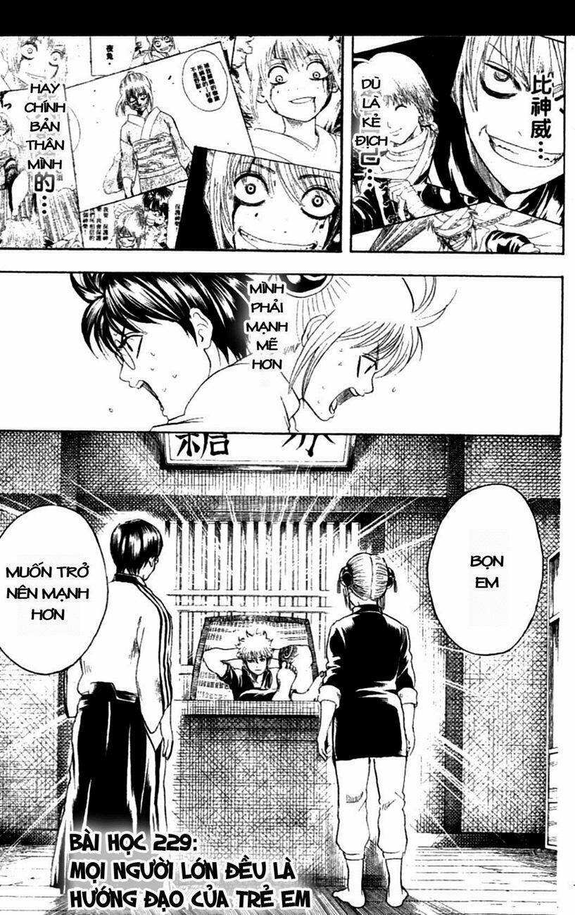 gintama - linh hồn bạc chapter 229 5