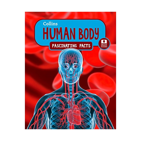 Human Body: Fascinating Facts