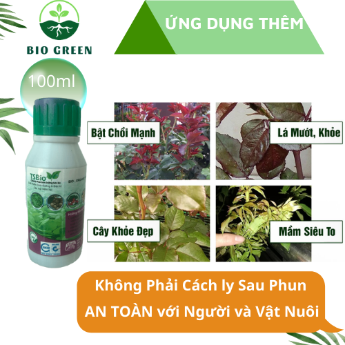 Trừ nấm sinh học TSBIO 100ml chuyên trừ CHÁY LÁ, RỈ SẮT, ĐỊA Y, VÀNG LÁ TRÊN CÂY MAI VÀNG