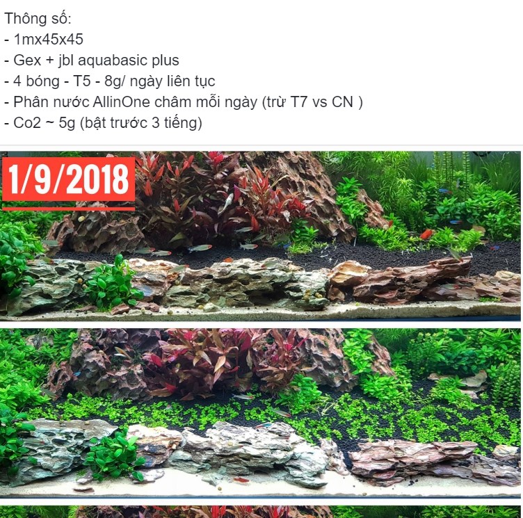 Cốt nền JBL AquaBasis Plus chuyên dụng cho hồ thủy sinh