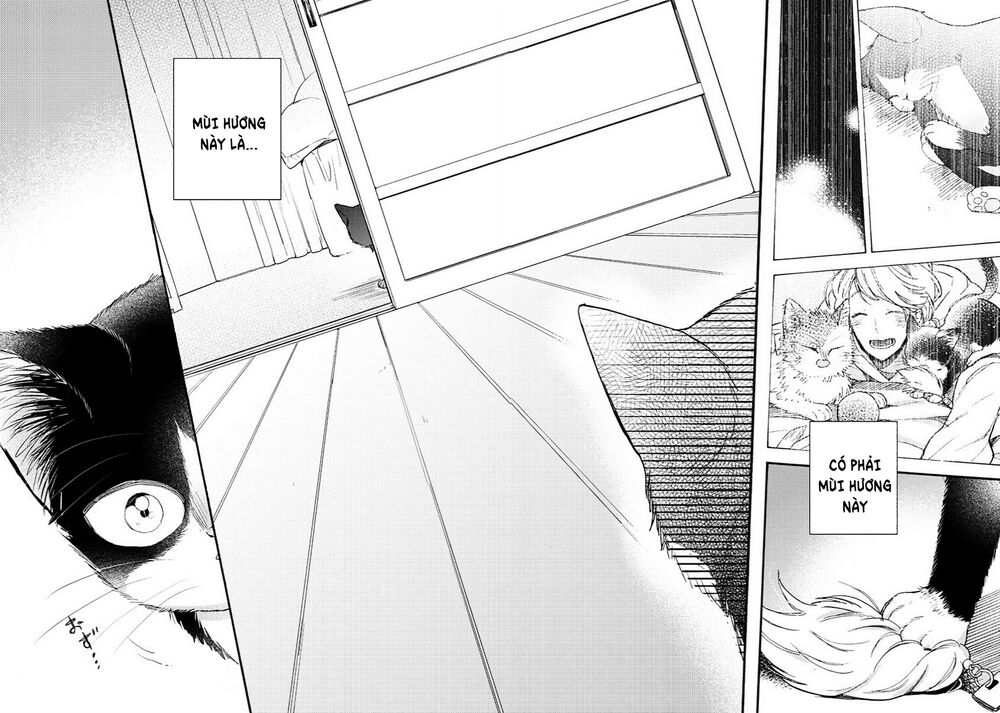 doukyonin wa hiza, tokidoki, atama no ue chapter 8.5 16