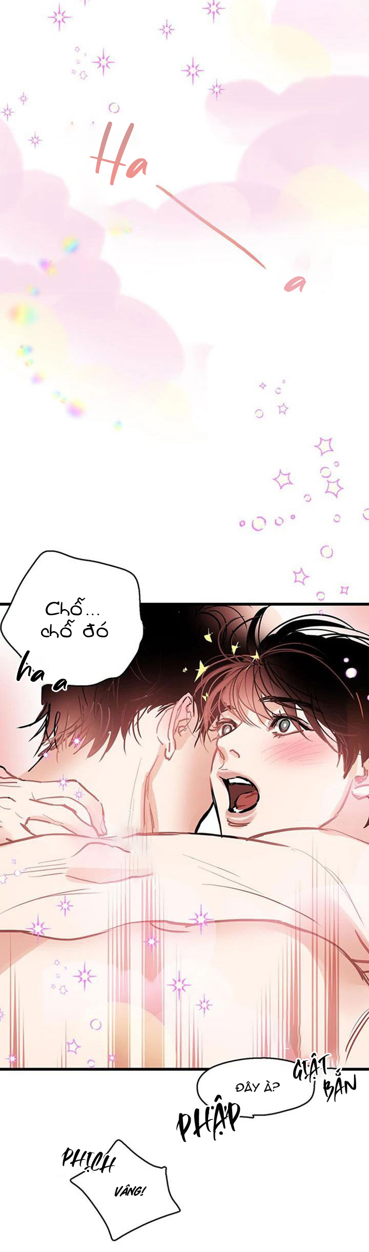 only one chapter 7 25