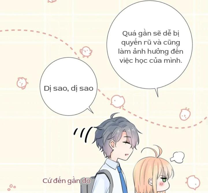 chanh vàng chapter 25 65