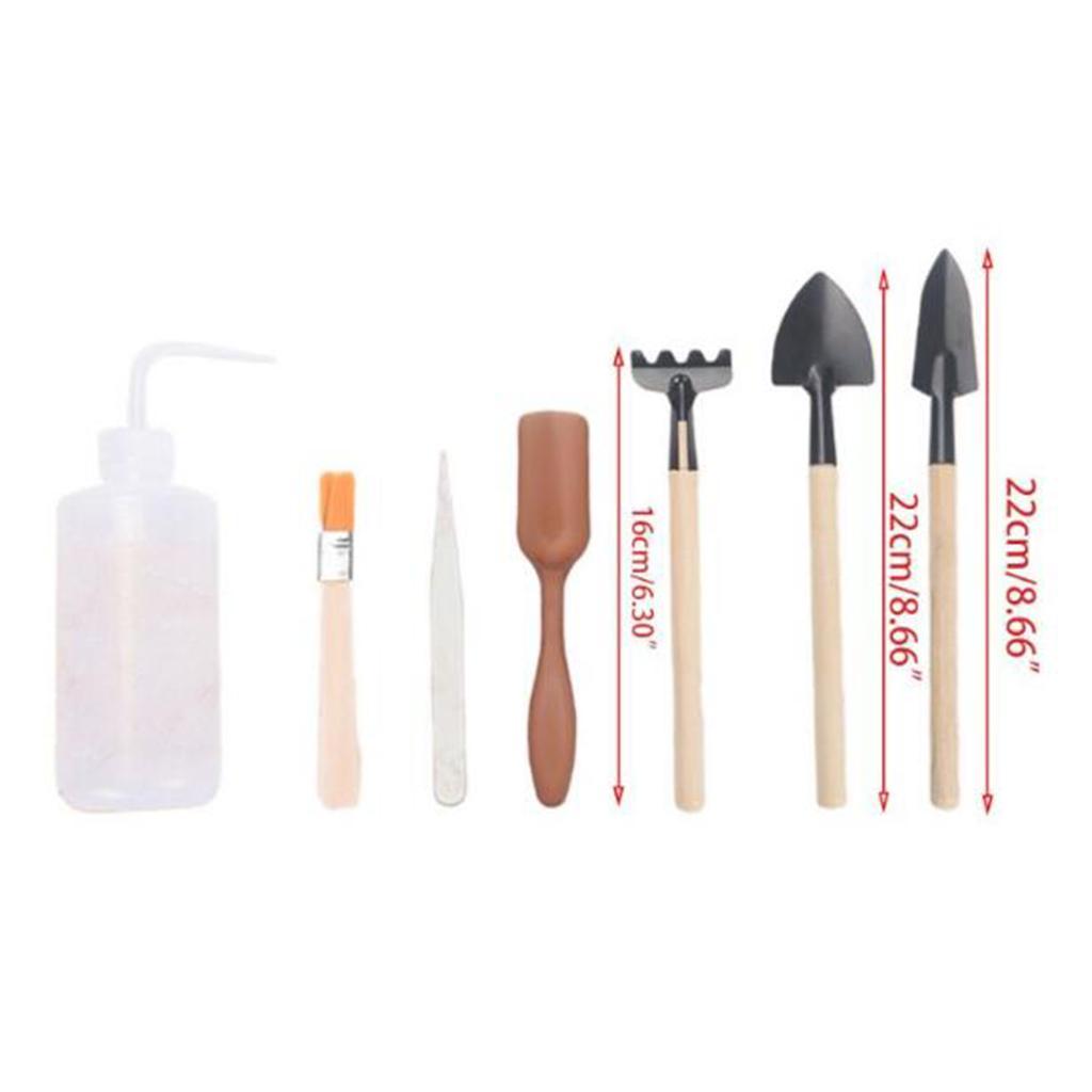 1 Set Succulent Tool Set Bonsai Plant Kits