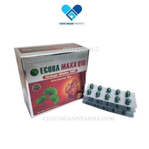 Ecoba Maxx Q10 ginkgo biloba thiện trí nhớ và chứng mất ngủ hoạt huyết dưỡng não, đau đầu chóng mặt, ngủ không ngon giấc