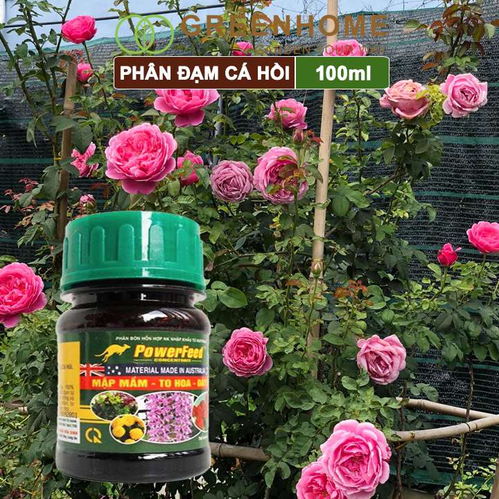 Phân đạm cá Powerfeed, chai 100ml, chiết xuất cá hồi, mập mầm, to hoa, dày cánh |Greenhome