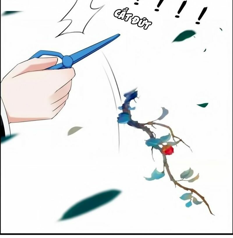 cô vợ hợp đồng bỏ trốn của tổng giám đốc chapter 14 25