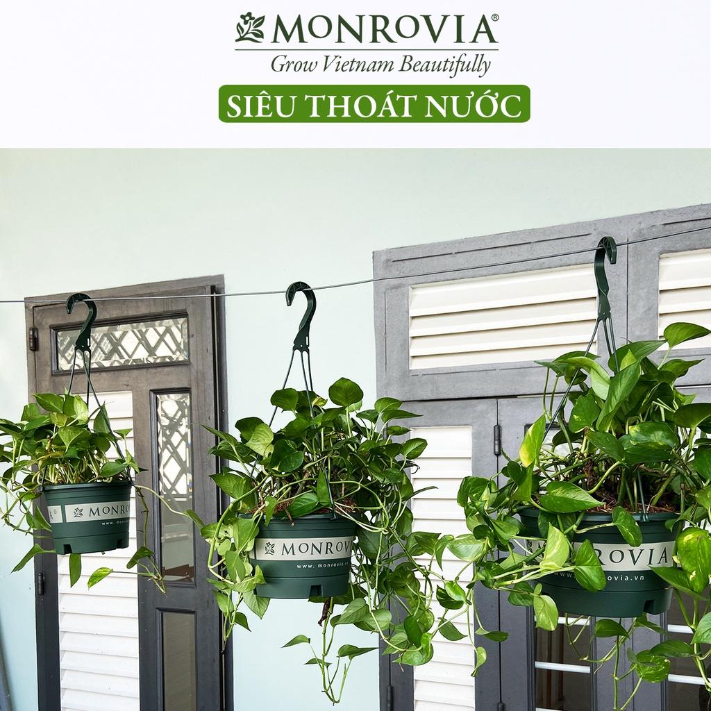 Chậu treo ban công MONROVIA, trồng hoa, cây cảnh, sân vườn, thiết kế tinh tế, thoát nước tốt, tiêu chuẩn Châu Âu