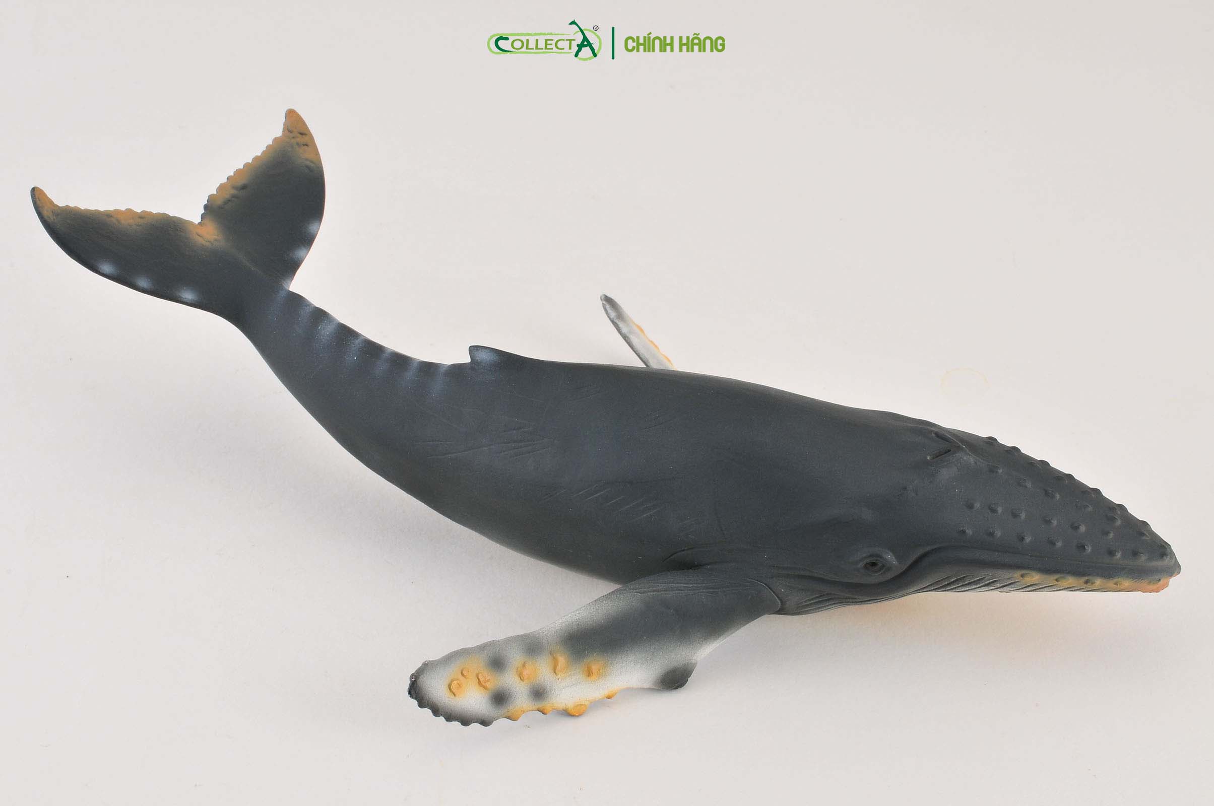 Mô hình thu nhỏ: Cá Voi Lưng Gù - Humpback Whale, hiệu: CollectA, mã HS 9652050[88347] -  Chất liệu an toàn cho trẻ - Hàng chính hãng