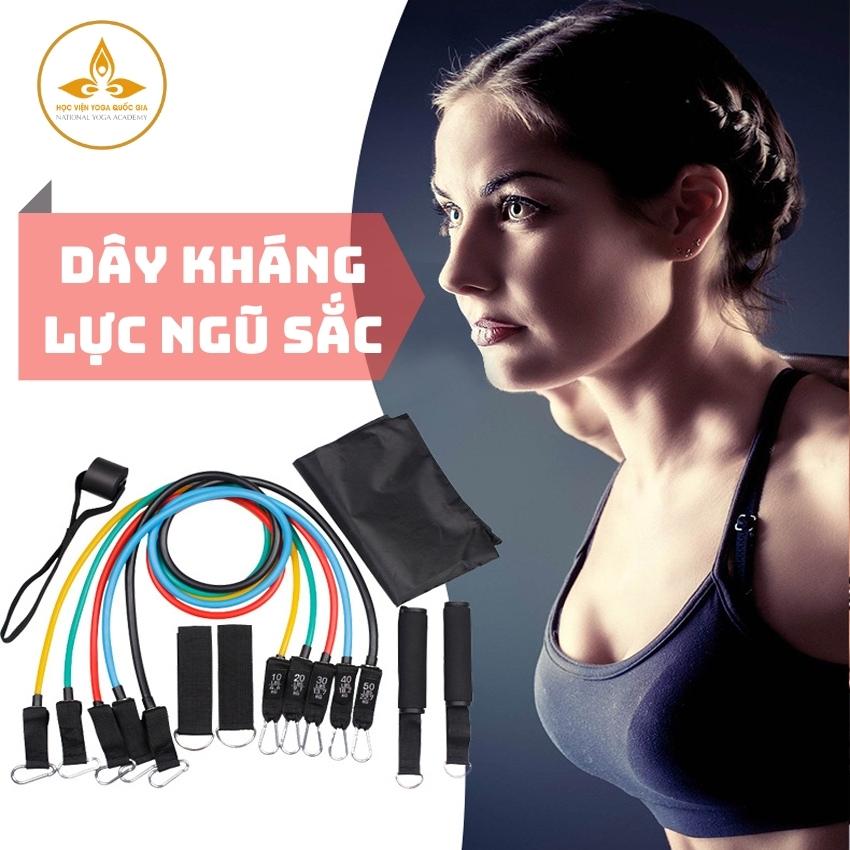 Bộ 5 Dây Ngũ Sắc Tập Gym, Tập Thể Hình - YOGA QG, Độ Đàn Hồi Cao, Chịu Lực Kéo Lớn; Giúp Bạn Tập Luyện Cơ Tay, Vai, Ngực, Bụng, Mông, Chân Ngay Tại Nhà; Kích Thước Gọn Nhẹ, Dễ Dàng Di Chuyển - Hàng chính hãng