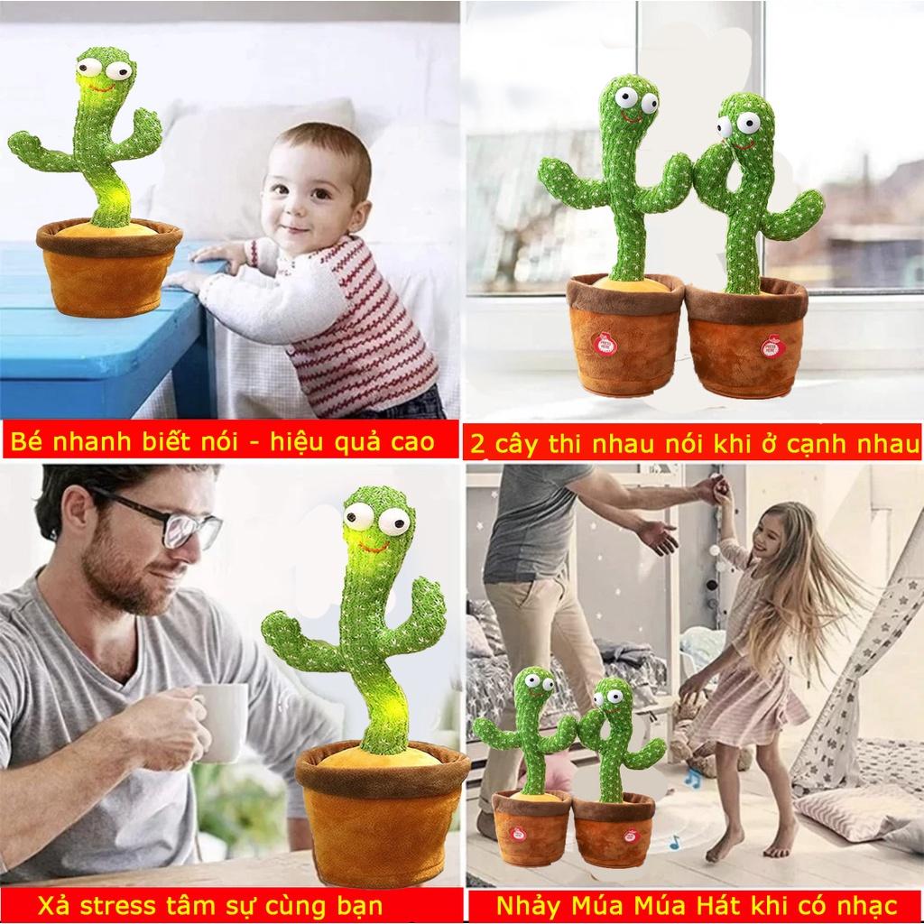 Cây xương rồng nhảy múa vui nhộn phát 120 bài hát nhạc - nhại được giọng nói