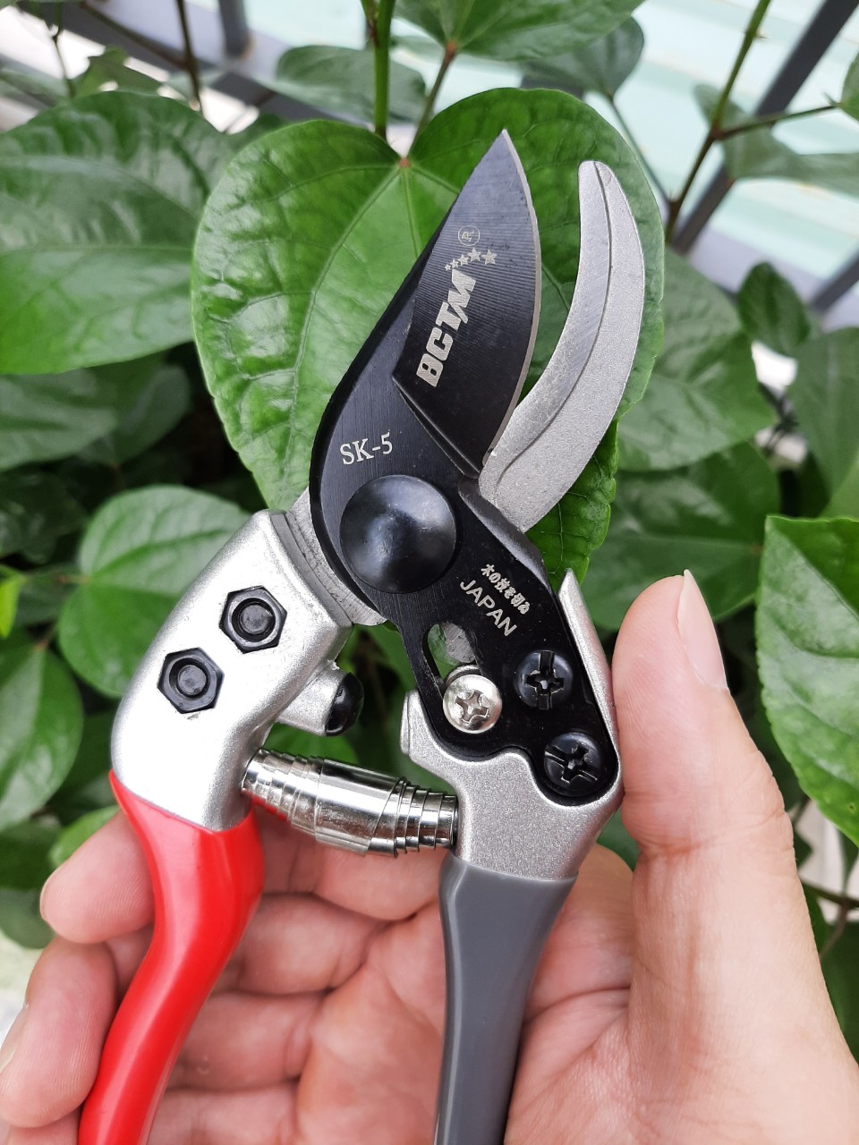 Kéo Cắt Tỉa Cành Cây Cảnh Siêu Sắt Bén Thép SK-5 Không Rỉ Sét Cầm Nặng Chắc Tay