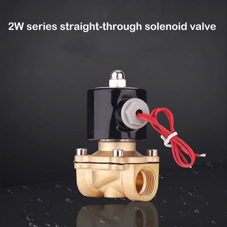 Van điện từ 2W-250-25 24V ren 32mm