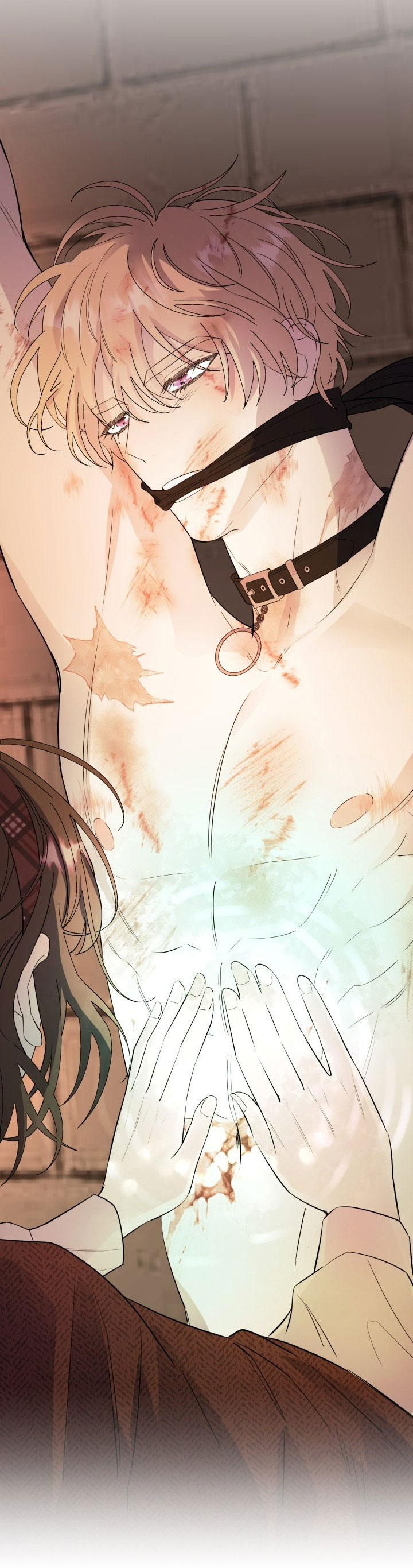 [18+] nếu cứu rỗi một cầm thú hư hỏng chapter 3.2 49