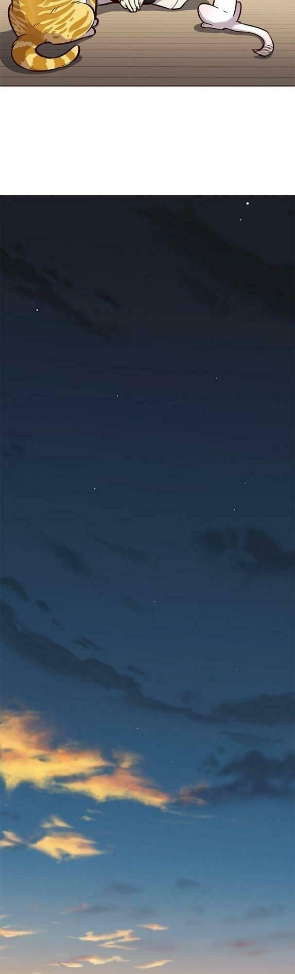 biến thân thành mèo chapter 180 42