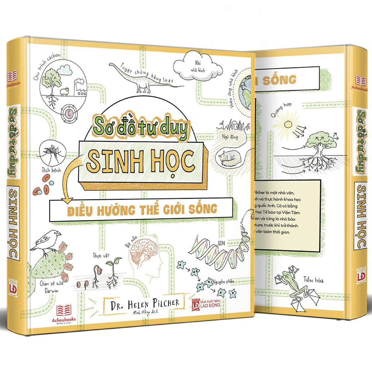 Sách Sơ đồ tư duy Sinh học - Min map Biology